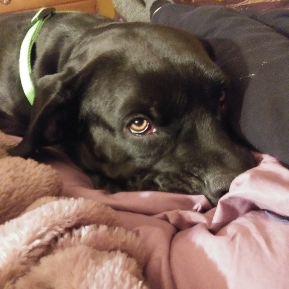 Meet your Posher, Kendra - Picture 4 of 4